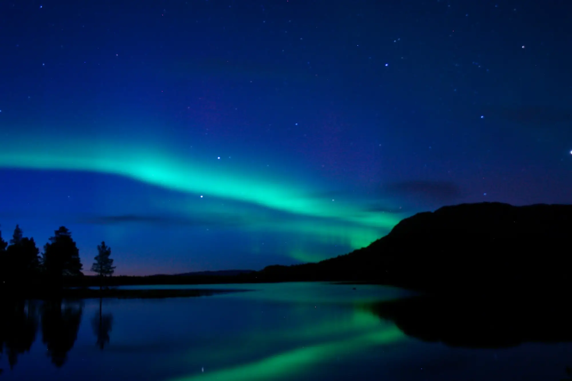 A green band of northern lights across a deep blue night sky over Lillevannet lake in Alta, reflected in the still water, with dark pine trees on the left shore and a low hill on the right.