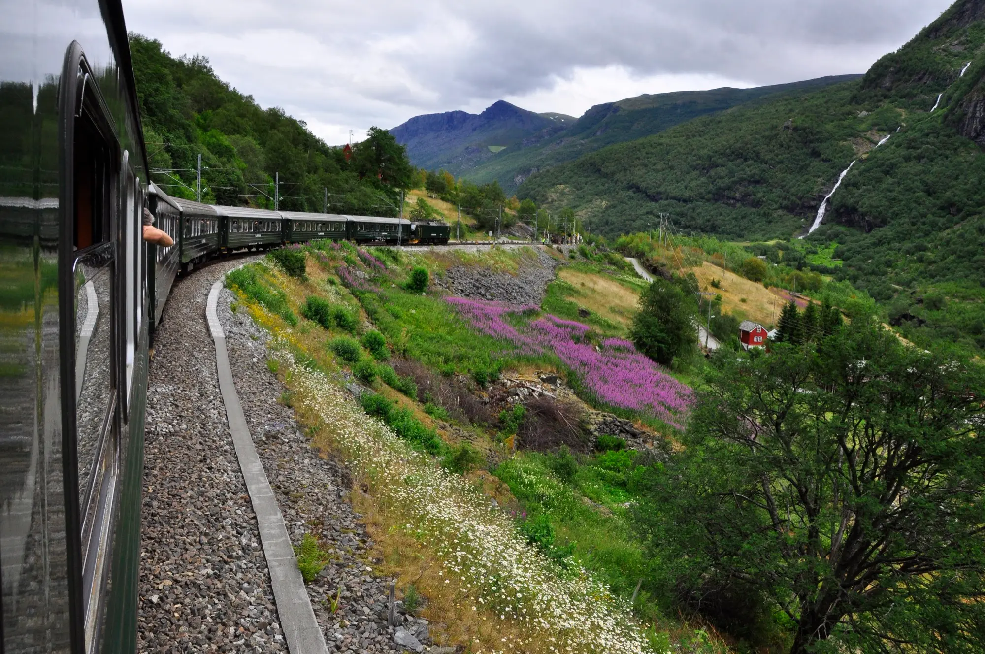 The green carriages of the Flåm Railway curve down the lush Flåm valley near Berekvam, past pink fireweed and a red farmhouse, with a waterfall streaming down the mountainside.