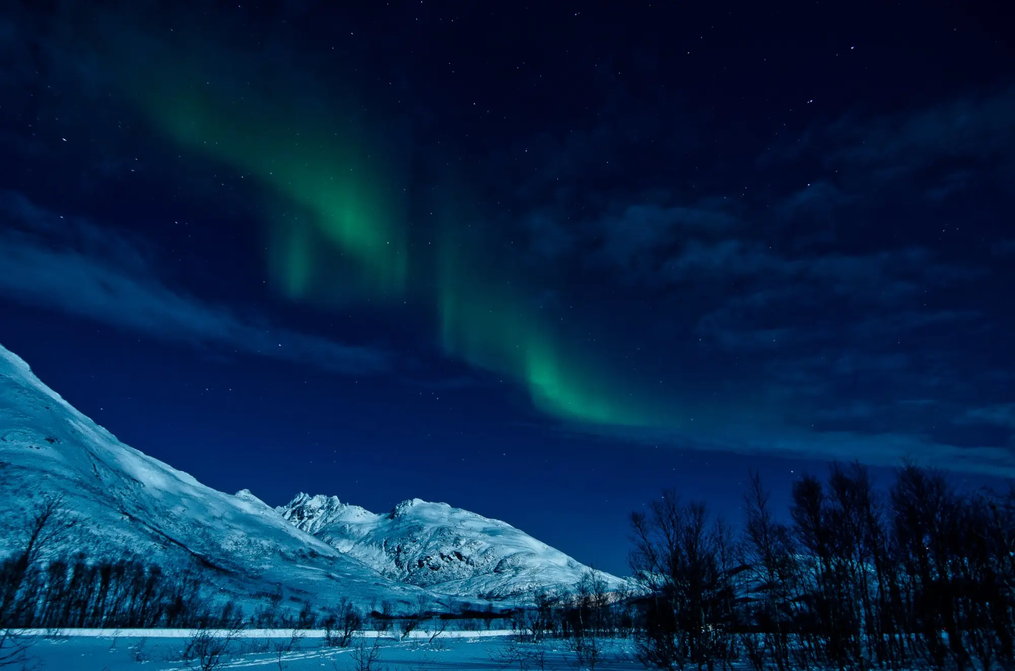 Green aurora over snow-covered mountains and birch trees near Tromsø on a moonlit winter night